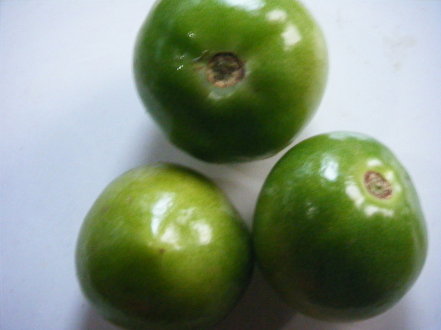 DSCF7108.JPG
