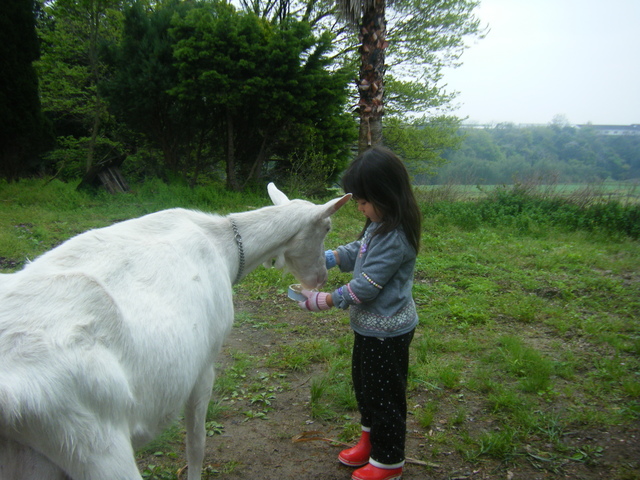DSCF8571.JPG